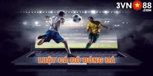 luật cá độ bóng đá